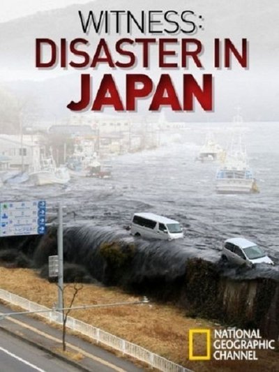 Testigos: La tragedia de Japón
