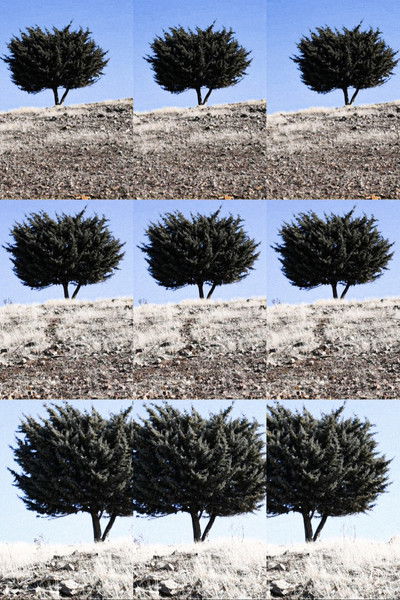 Where is the Final Destination?