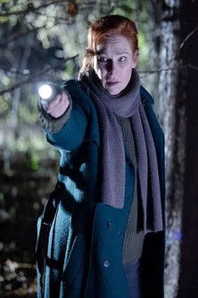 Charlotte Link - Einsame Nacht