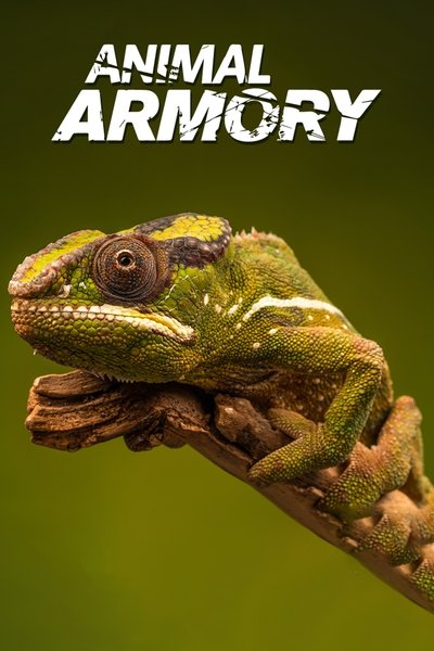 Superdefensa animal