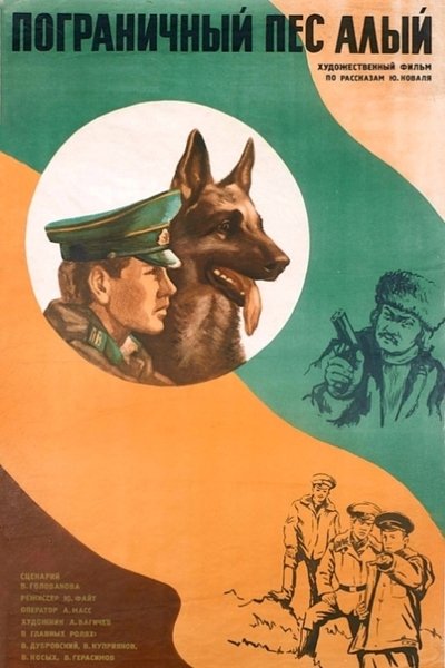 Border Dog Scarlet