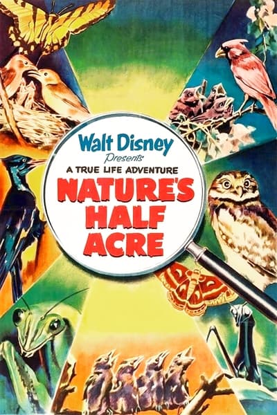 La Parcela de la Naturaleza