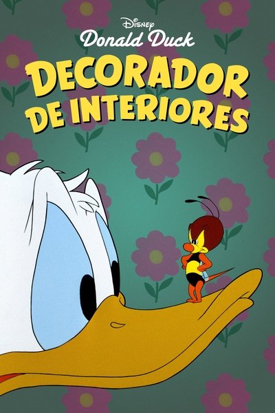 Decorador de inferiores
