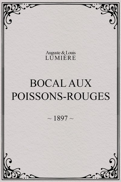 Bocal aux poissons rouges