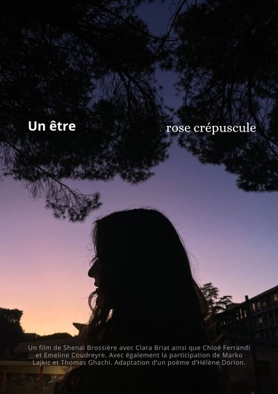 Un Être Rose Crépuscule