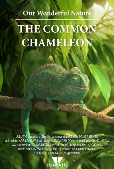 Nuestra maravillosa naturaleza: El camaleón