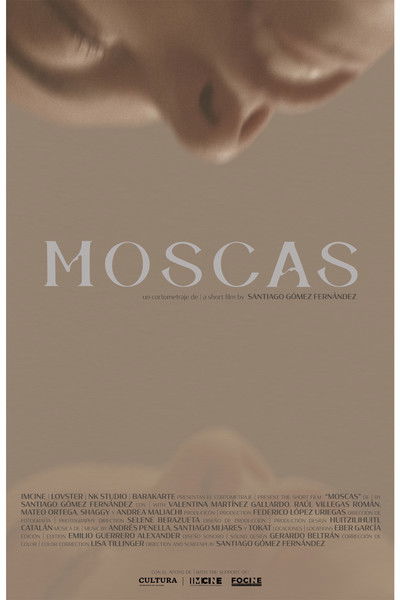 Moscas