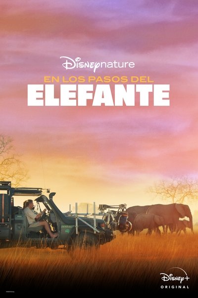 Tras los pasos del elefante