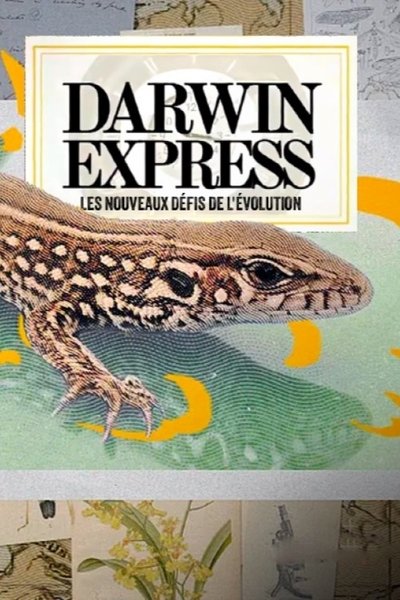 Darwin express - Les nouveaux défis de l'évolution