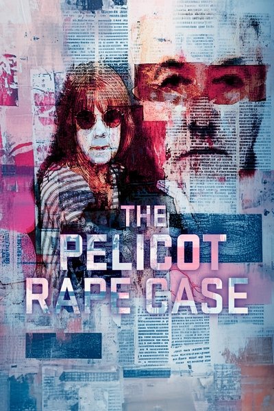 The Pelicot Rape Case